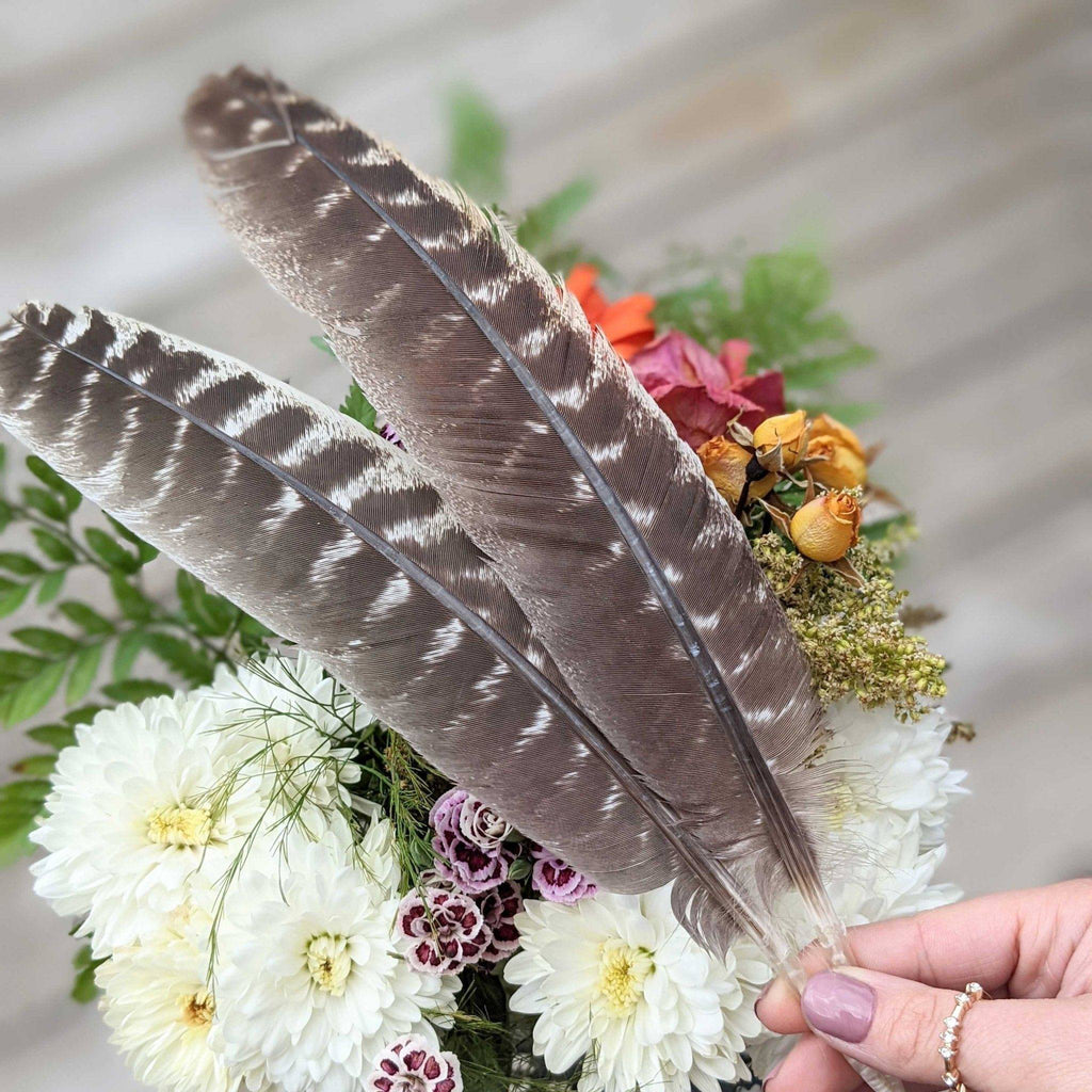 Natural Turkey Feathers - Zen Collection