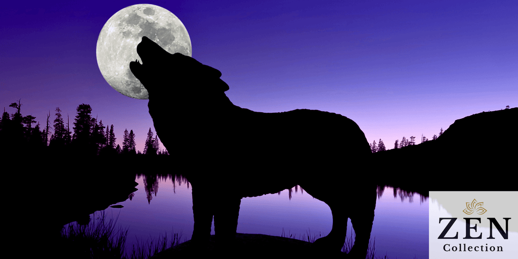 learn more about the first full moon of the year , the Wolf Moon