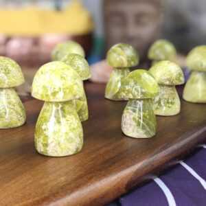 Crystal mushrooms for growth, grounding & transformation.