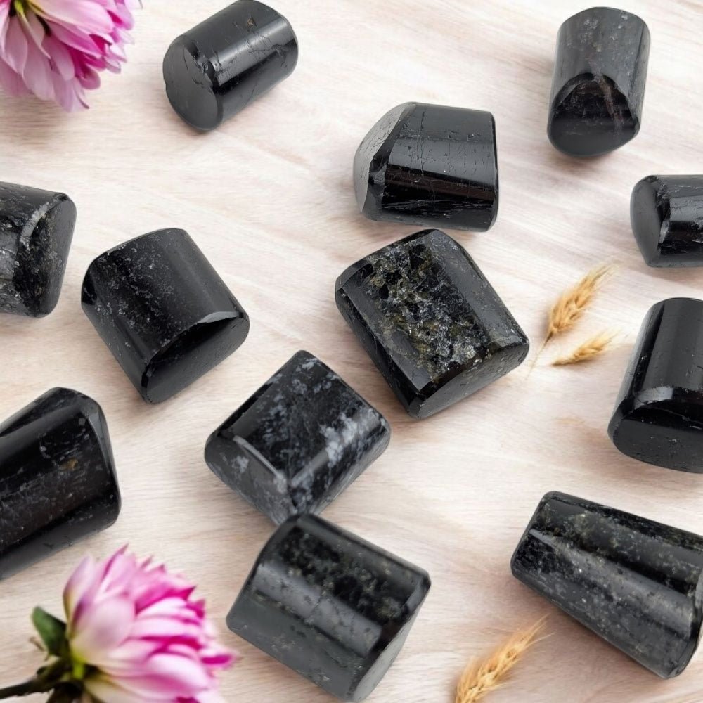 Newest Products - Zen Collection