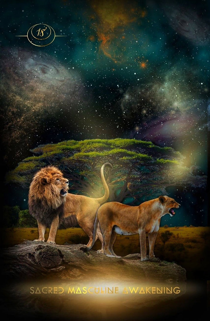 Creatrix Awakened Oracle Deck - metaphysical store canada