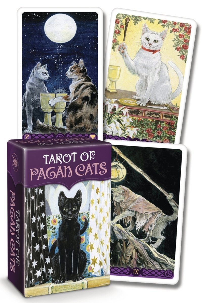 Tarot of Pagan Cats Mini Deck - oracle cards canada