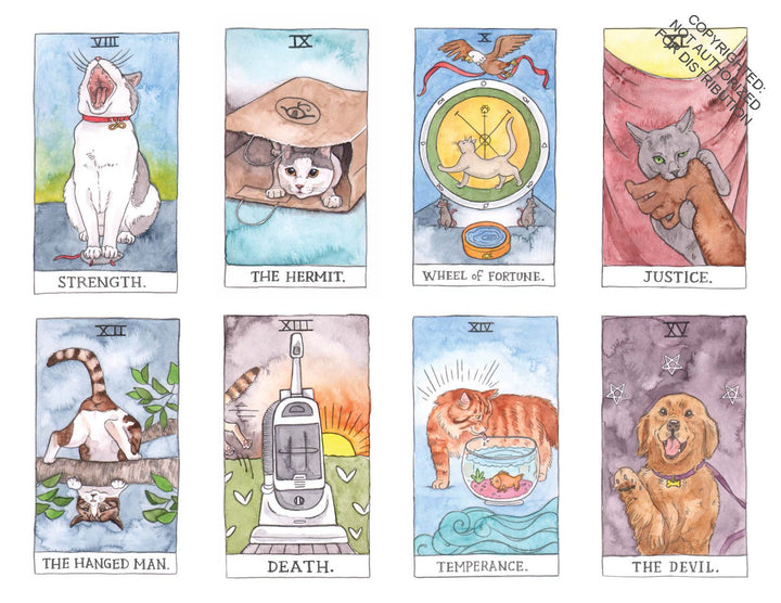 Cat Tarot - oracle cards canada