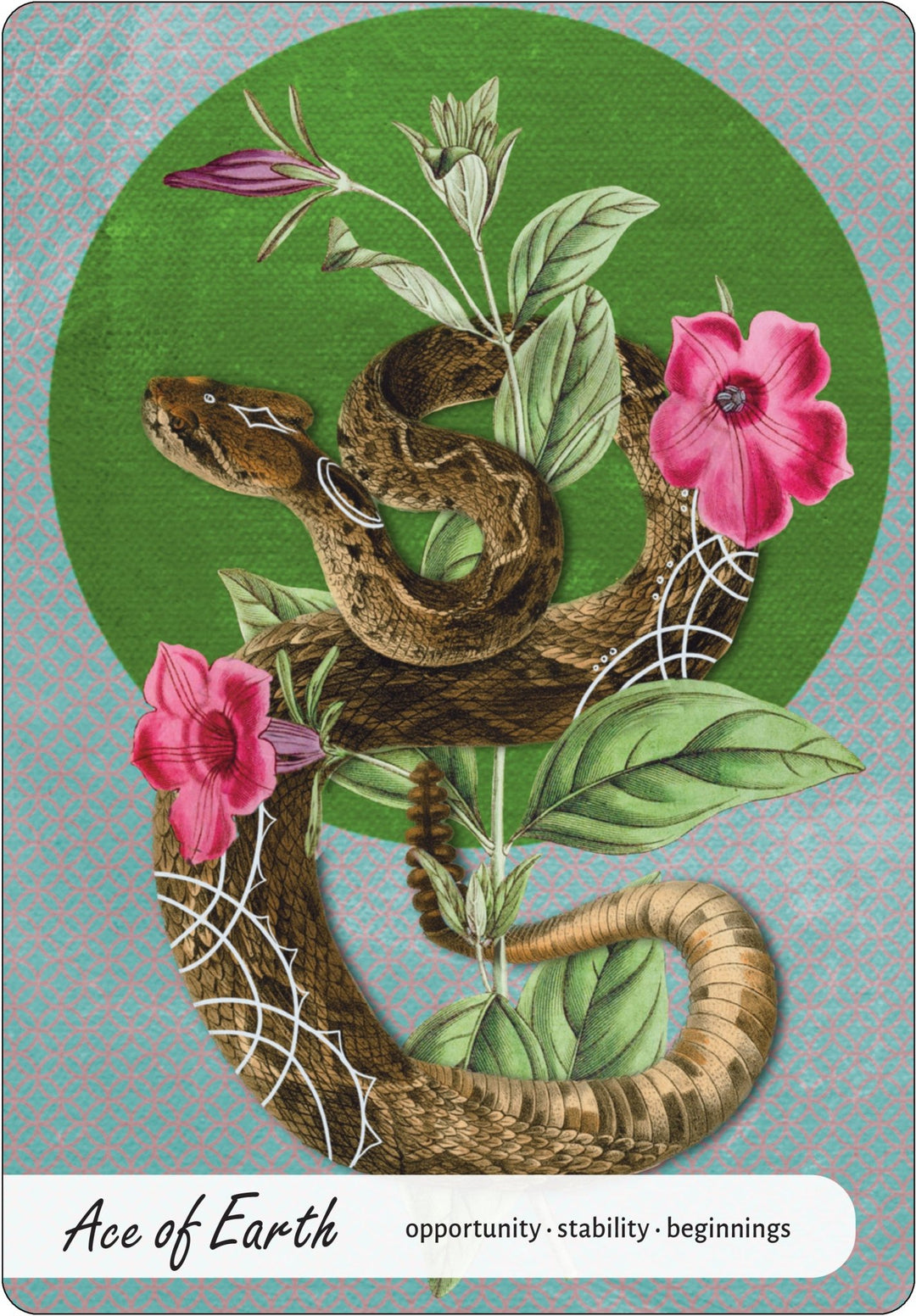 Wise Earth Medicine Tarot - tarot decks near me