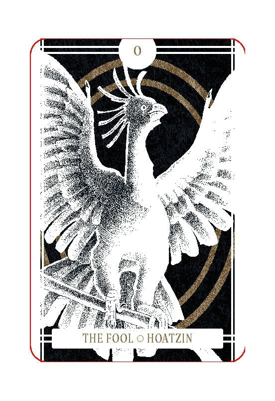 The Avian Tarot - metaphysical shop