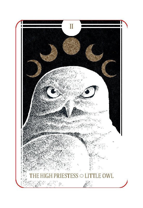 The Avian Tarot - metaphysical store near me