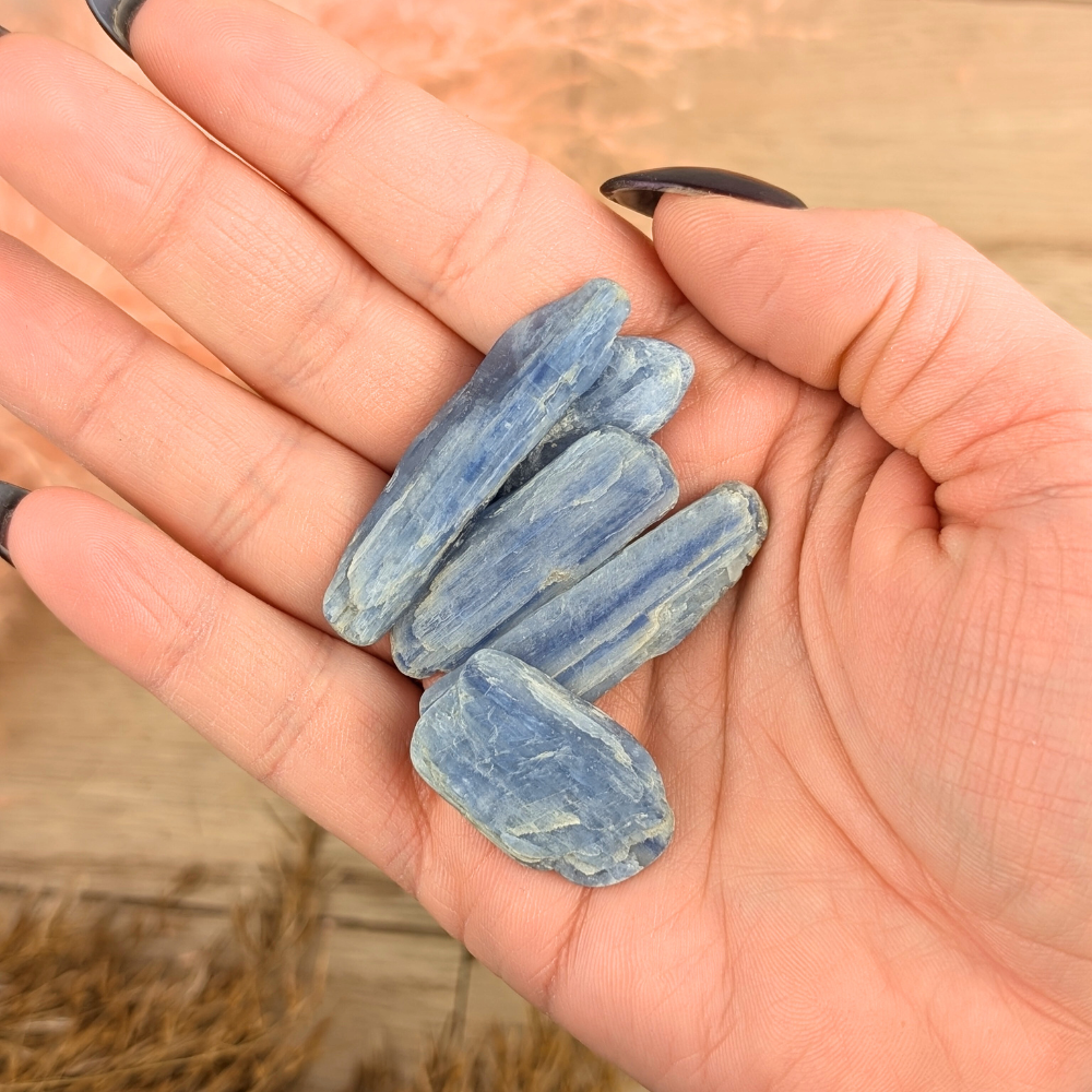 Medium Blue Kyanite Blades displayed with crystals.