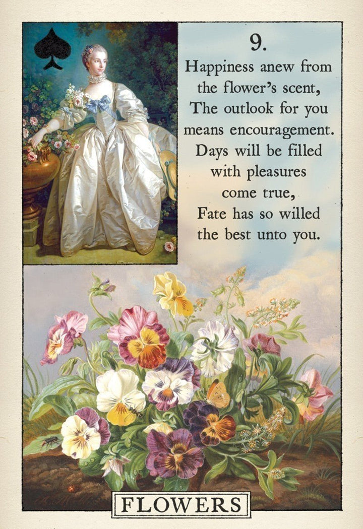 blue bird lenormand cards available at Zen collection metaphysical store Canada