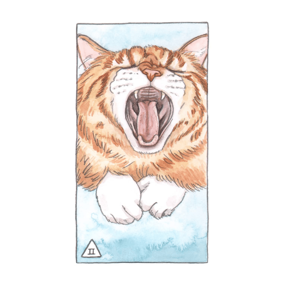 Cat Tarot Deck with Illustrated Guidebook for Beginners