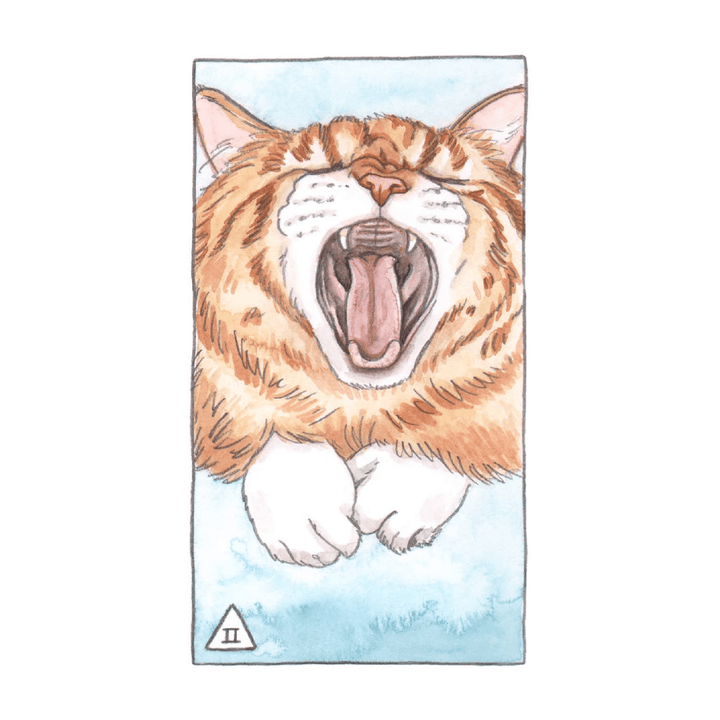 Cat Tarot Deck with Illustrated Guidebook for Beginners