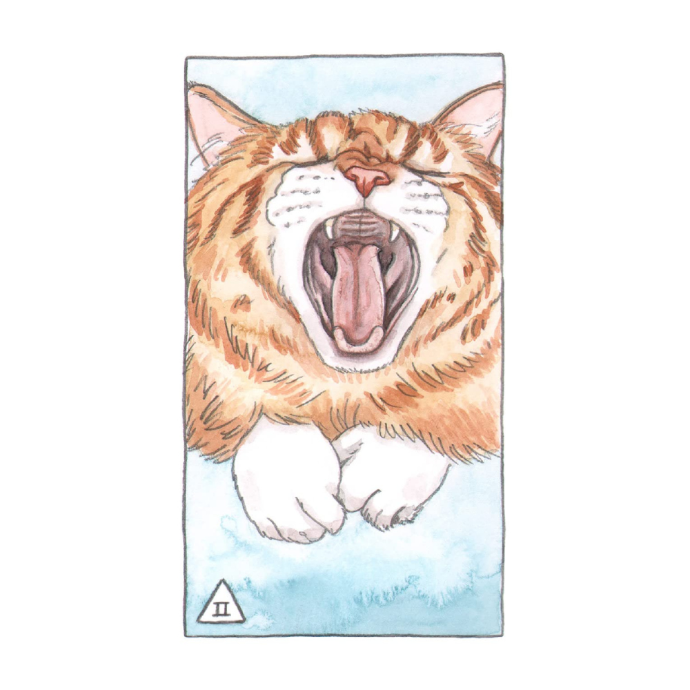 Cat Tarot Deck with Illustrated Guidebook for Beginners