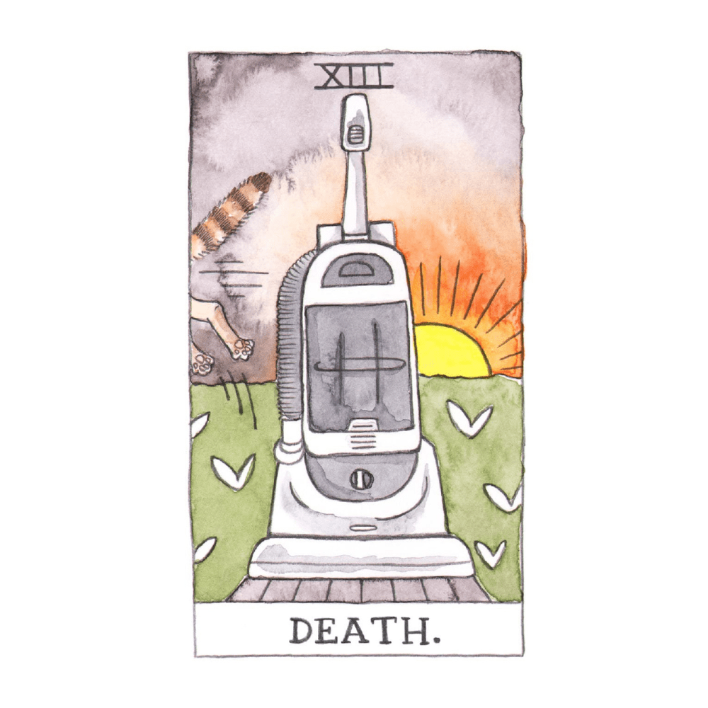 Humorous and Authentic Cat Tarot for Past, Present, and Future