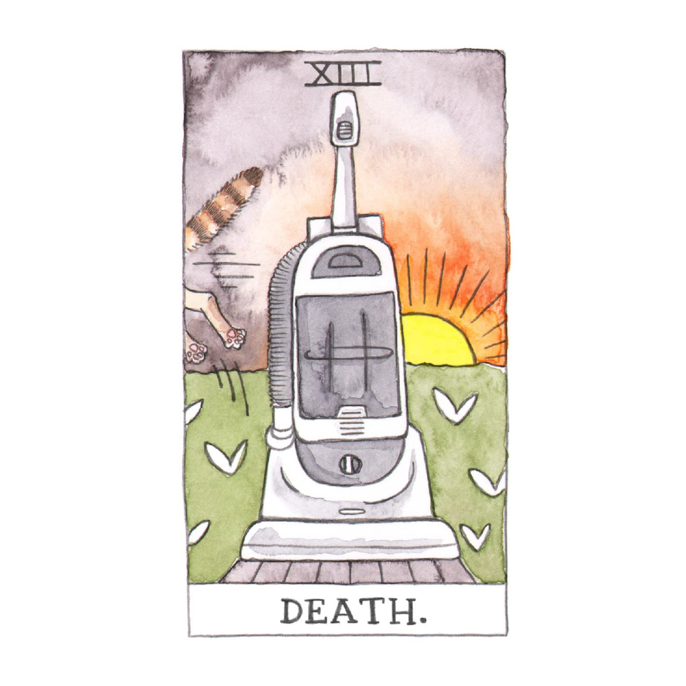 Humorous and Authentic Cat Tarot for Past, Present, and Future