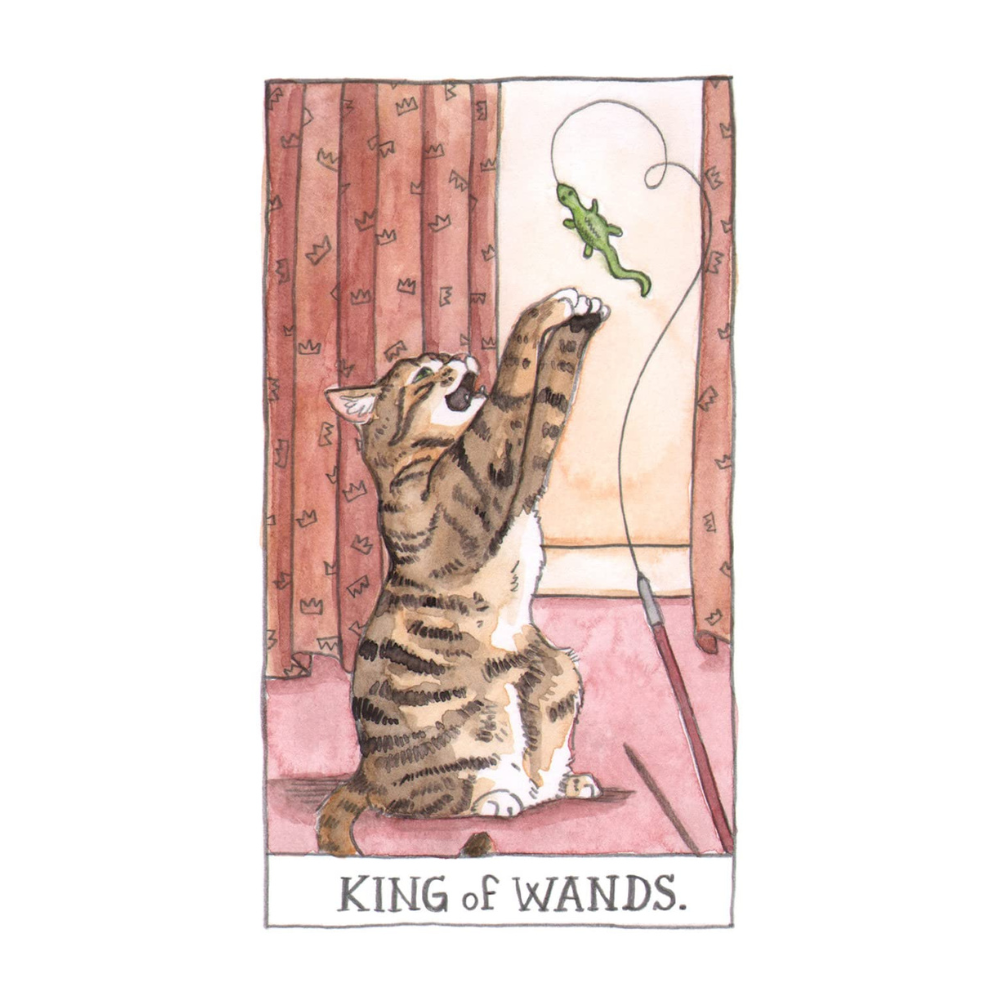 Cat Tarot Deck - Unique Tarot for Cat Lovers and Readers