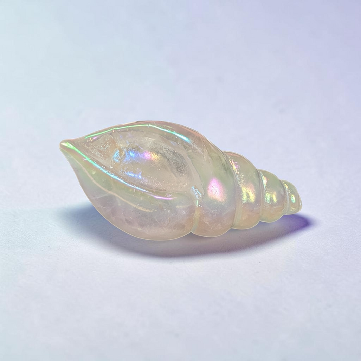 Clear Quartz Quartz Conch Shell | Clear Quartz | Amplifying Energy and Clearing Stagnant Vibes | Zen Collection Canada