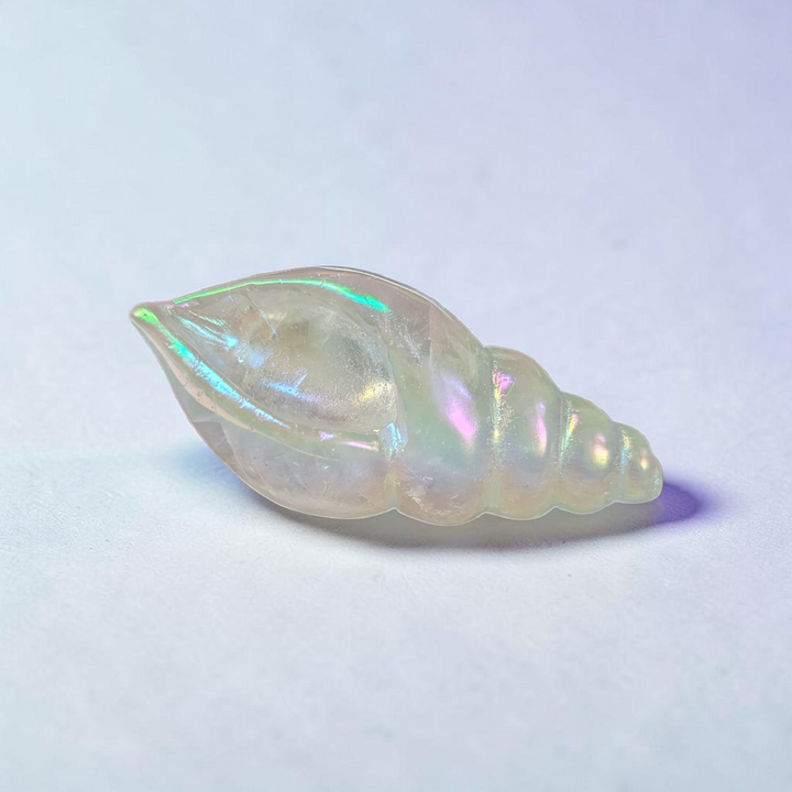 Clear Quartz Quartz Conch Shell | Clear Quartz | Amplifying Energy and Clearing Stagnant Vibes | Zen Collection Canada