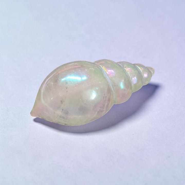 Clear Quartz Quartz Conch Shell | Clear Quartz | Amplifying Energy and Clearing Stagnant Vibes | Zen Collection Canada
