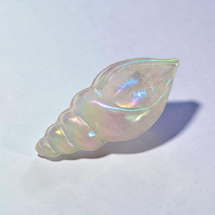 Clear Quartz Quartz Conch Shell | Clear Quartz | Amplifying Energy and Clearing Stagnant Vibes | Zen Collection Canada