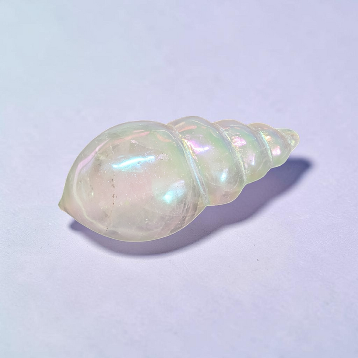 Clear Quartz Quartz Conch Shell | Clear Quartz | Amplifying Energy and Clearing Stagnant Vibes | Zen Collection Canada