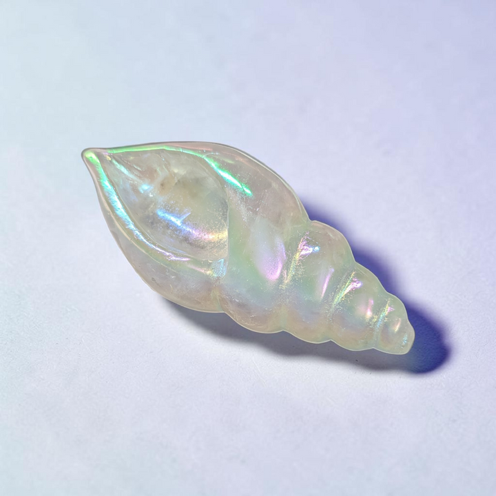 Clear Quartz Quartz Conch Shell | Clear Quartz | Amplifying Energy and Clearing Stagnant Vibes | Zen Collection Canada