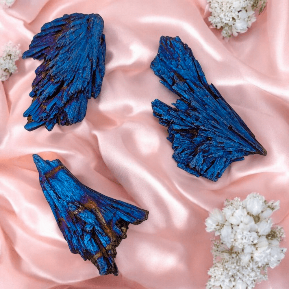 Phoenix Tail Aura Kyanite

