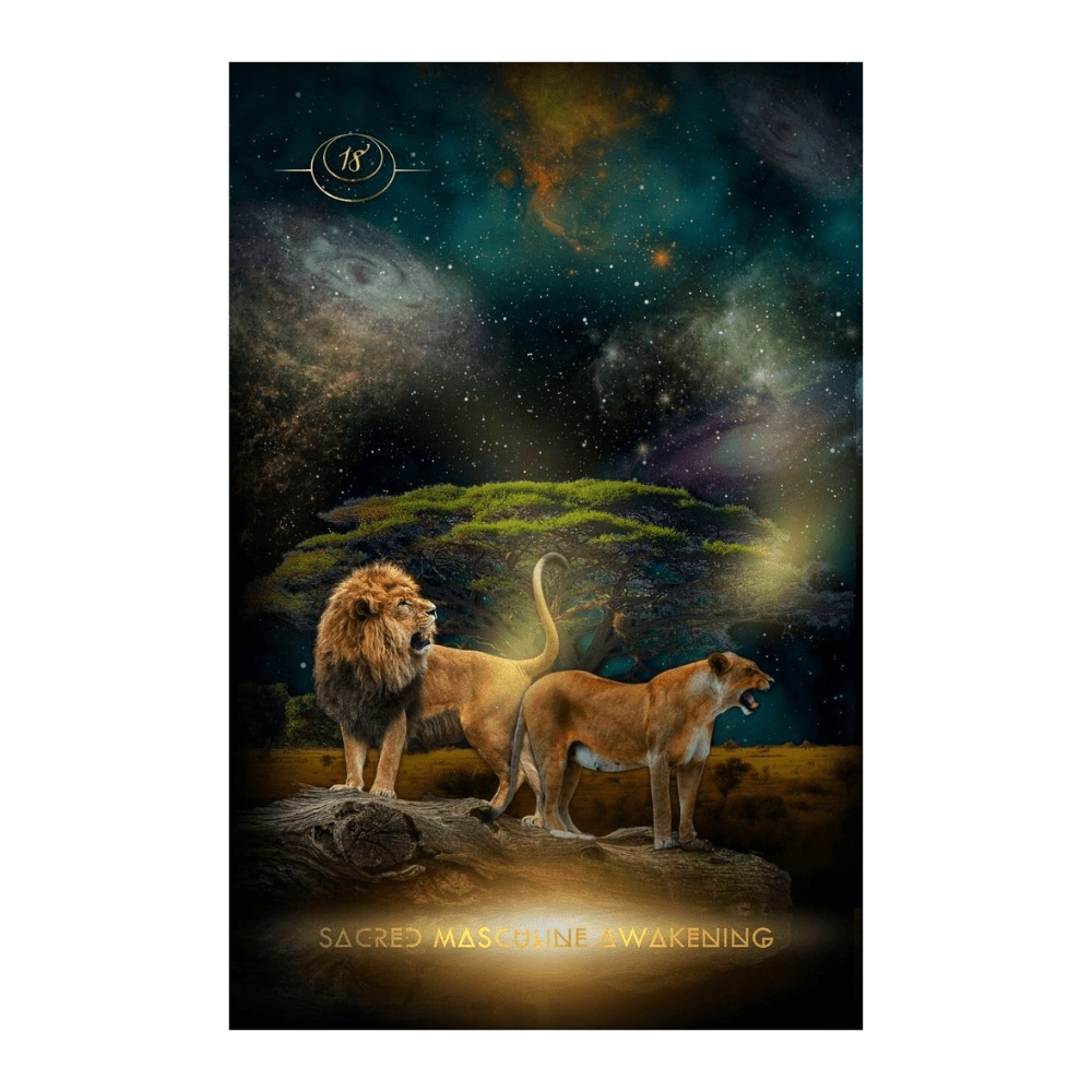 Creatrix Oracle Deck for Visionary and Spiritual Leaders