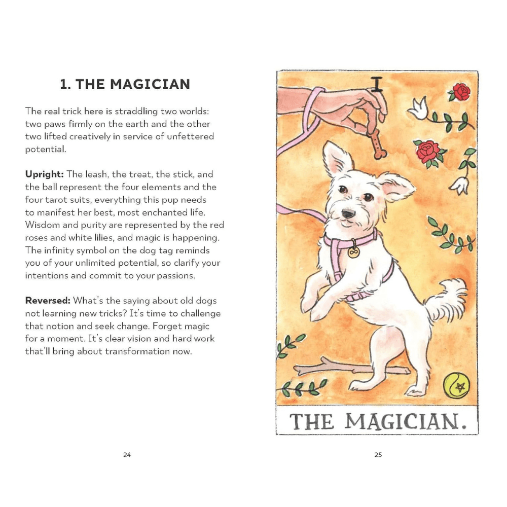 Tarot du chien