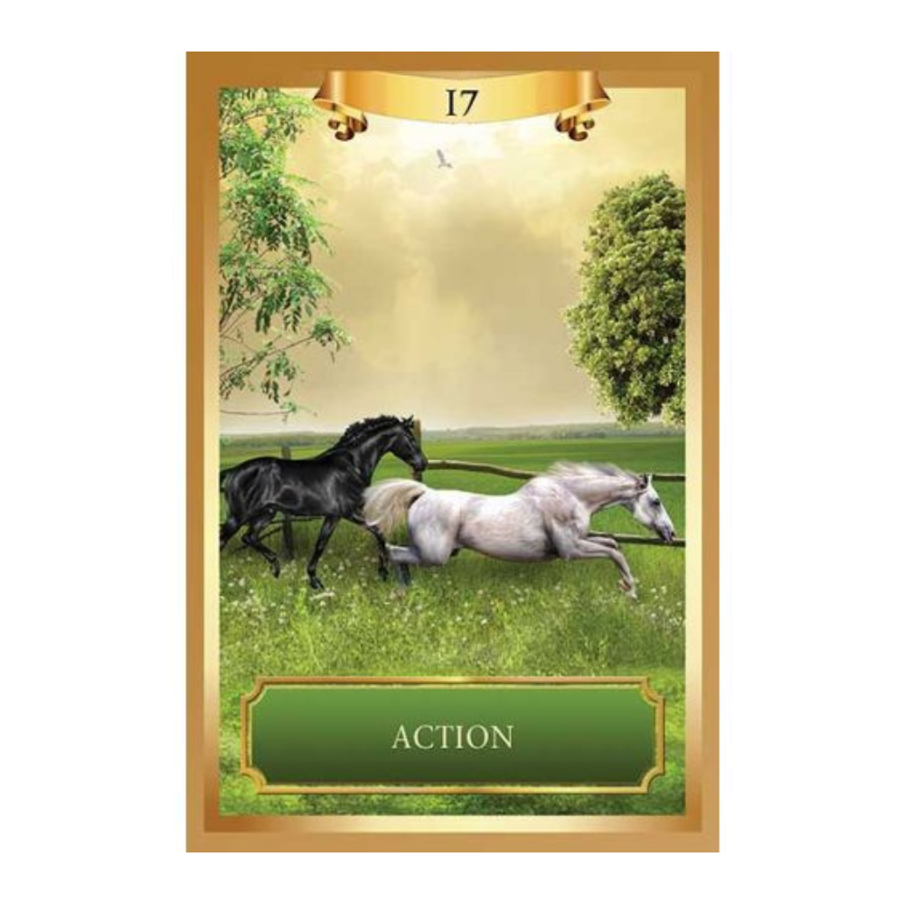 Energy Oracle Deck by Sandra Anne Taylor for Self-Discovery