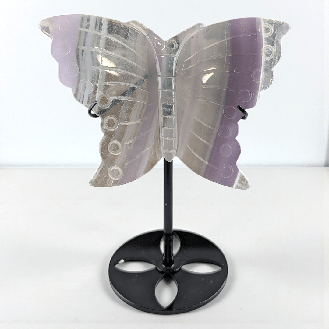 third eye chakra fluorite crystal butterfly carving. Available at Zen Collection Metaphysical Store. Shop in-store or online now