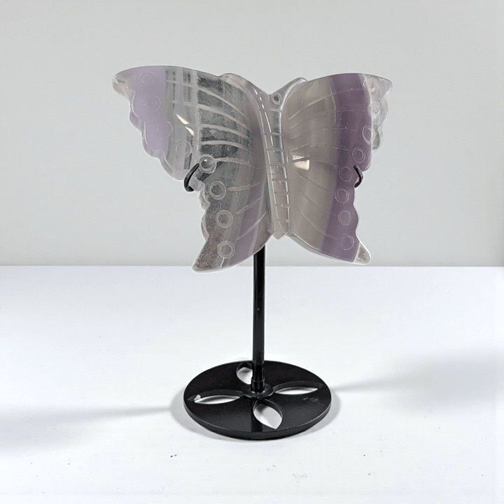 third eye chakra fluorite crystal butterfly carving. Available at Zen Collection Metaphysical Store. Shop in-store or online now