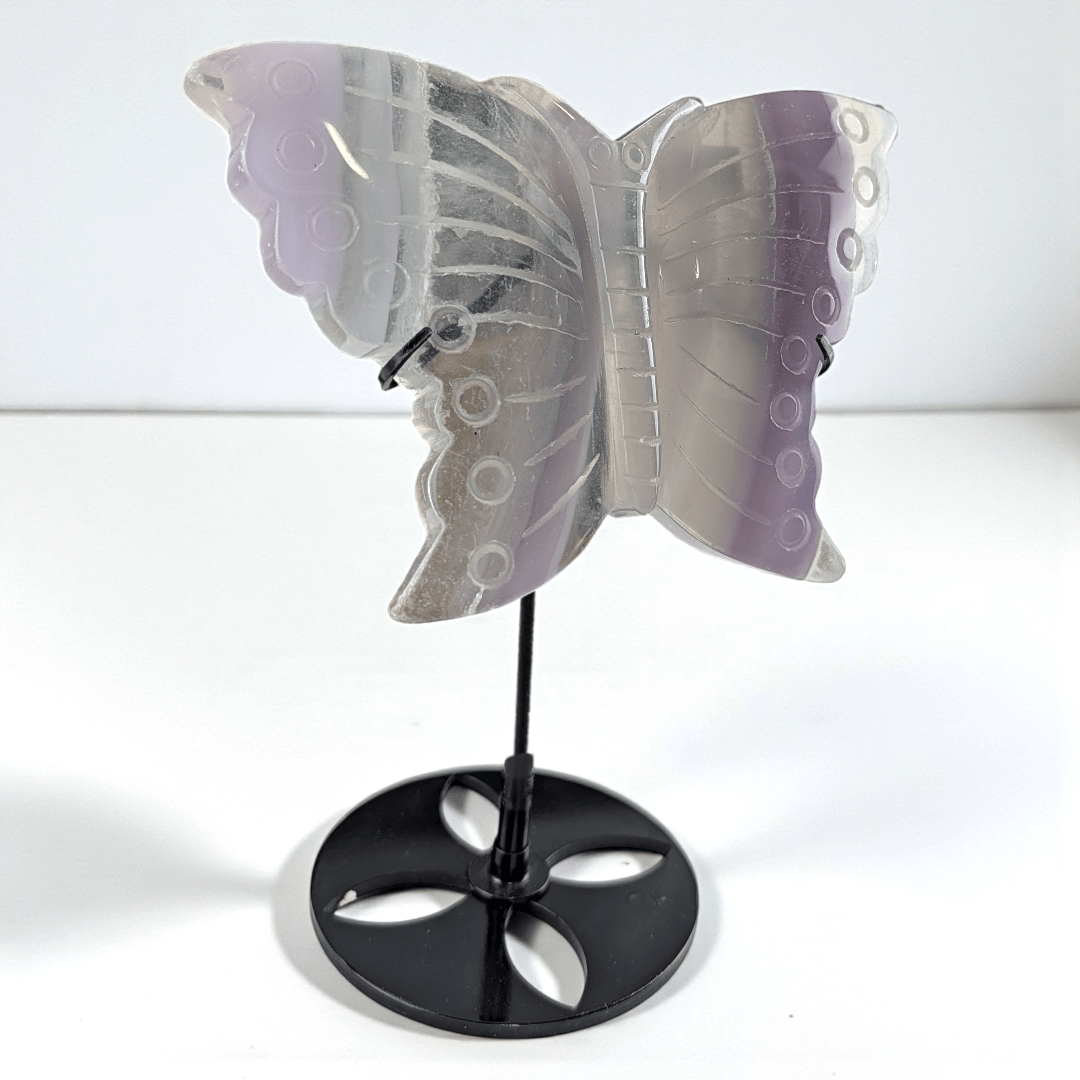 third eye chakra fluorite crystal butterfly carving. Available at Zen Collection Metaphysical Store. Shop in-store or online now