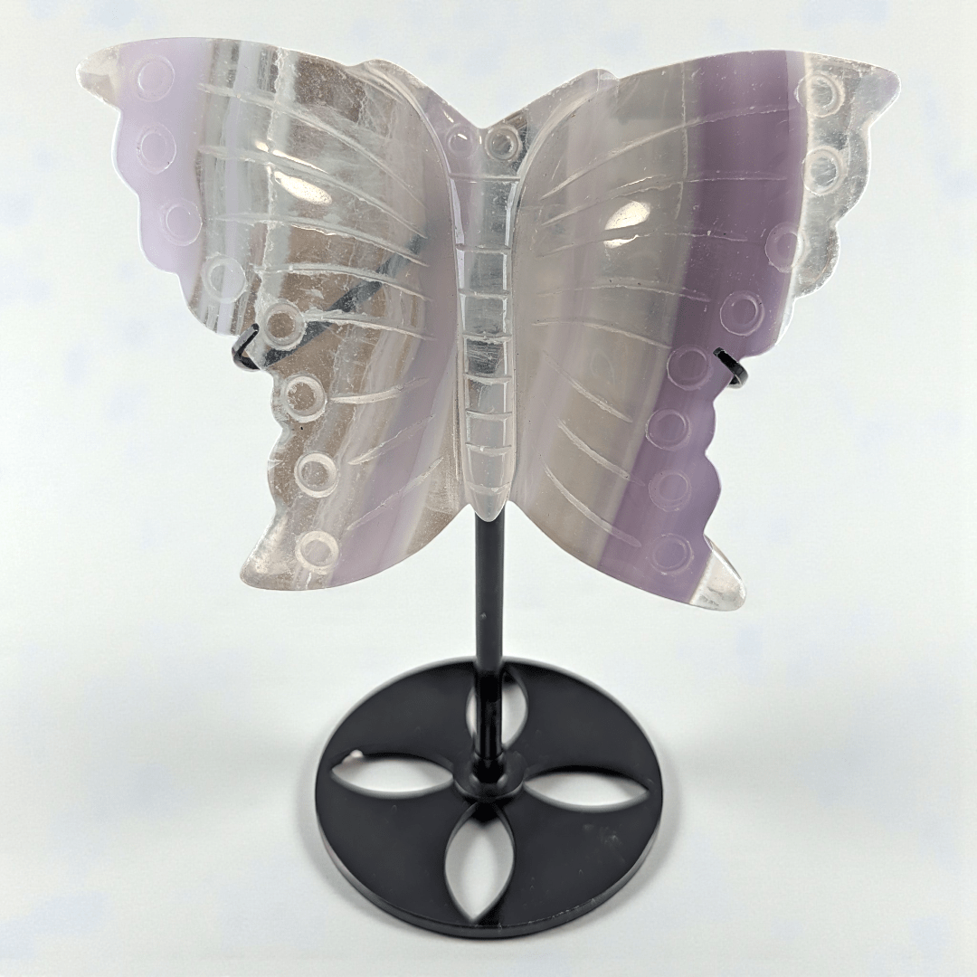 third eye chakra fluorite crystal butterfly carving. Available at Zen Collection Metaphysical Store. Shop in-store or online now