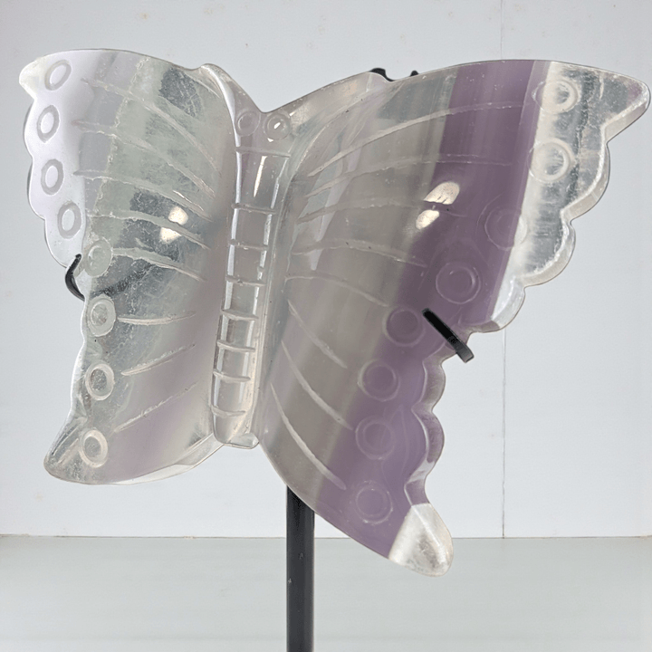third eye chakra fluorite crystal butterfly carving. Available at Zen Collection Metaphysical Store. Shop in-store or online now
