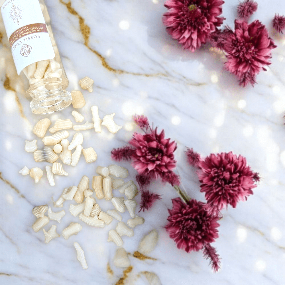 glass bottle with fossil coral crystals and pink flowers on a marble surface with string lights