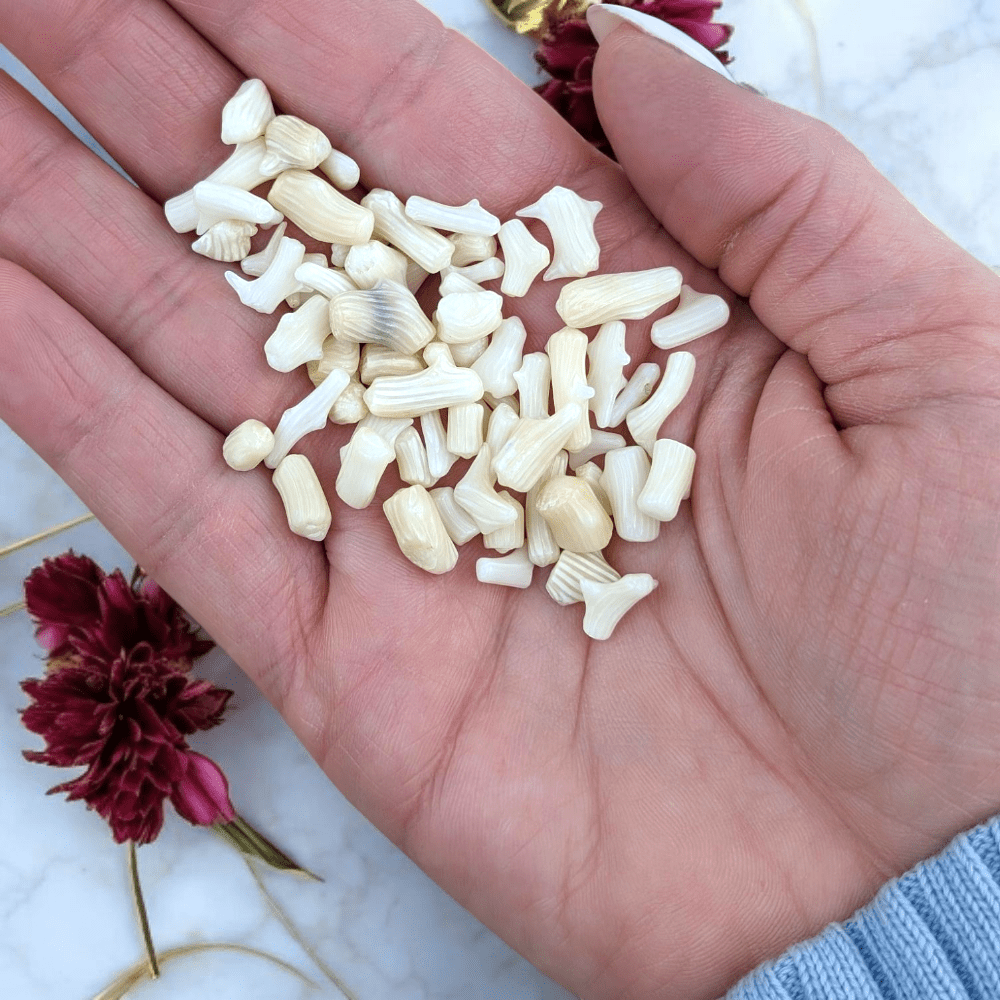 Hand holding agatized coral with flowers in the background