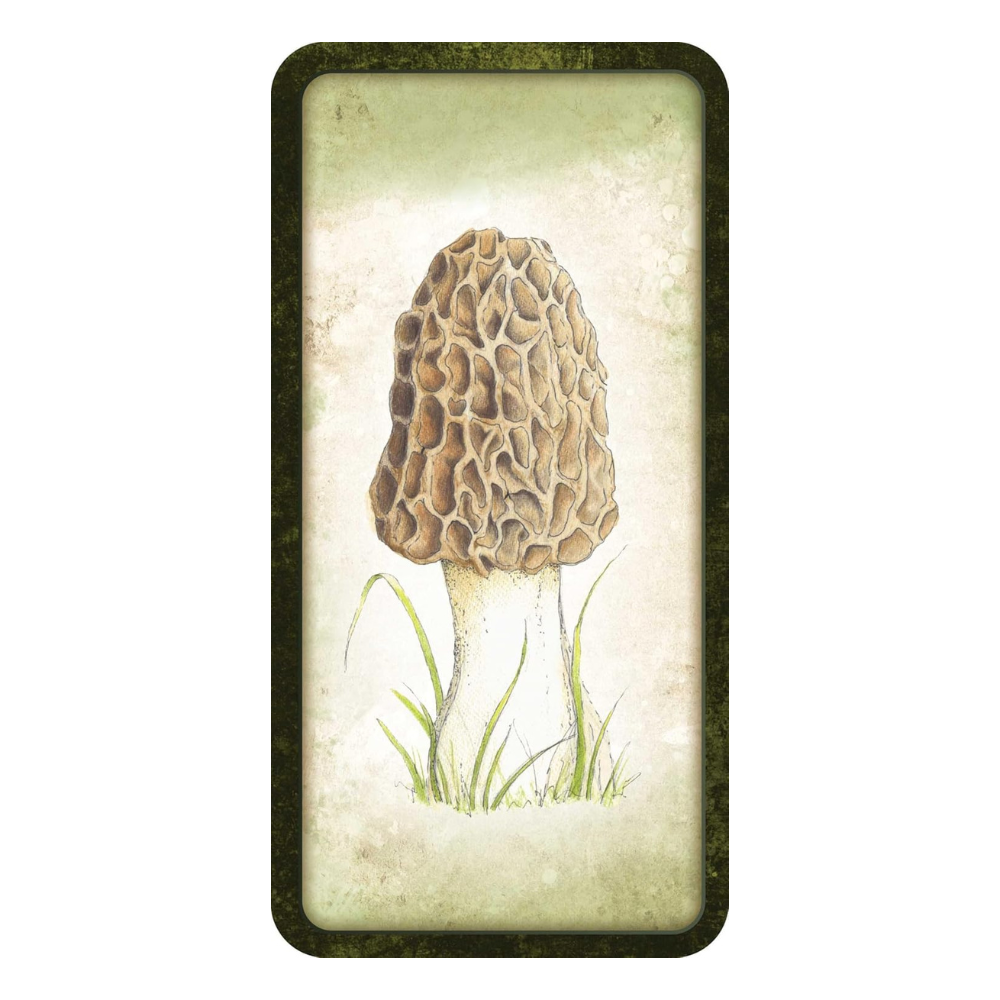 Mushroom Affirmations Deck by Nicola McIntosh