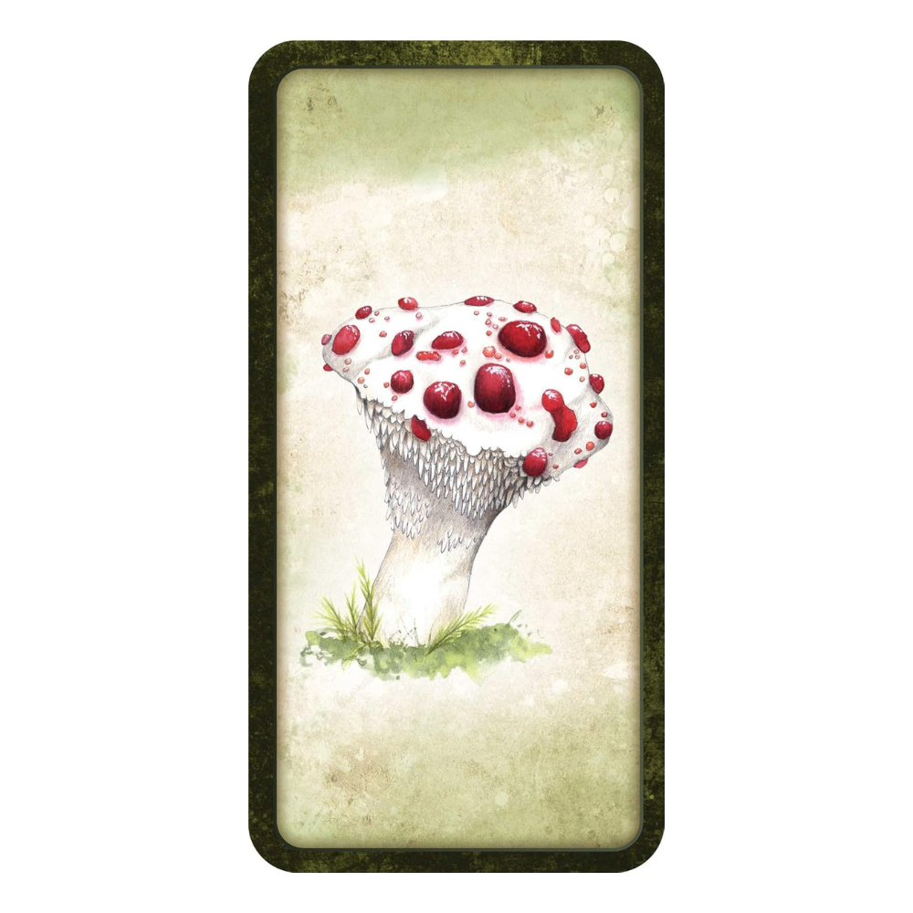 Mushroom Affirmations - Intuitive Cards for Spiritual Growth