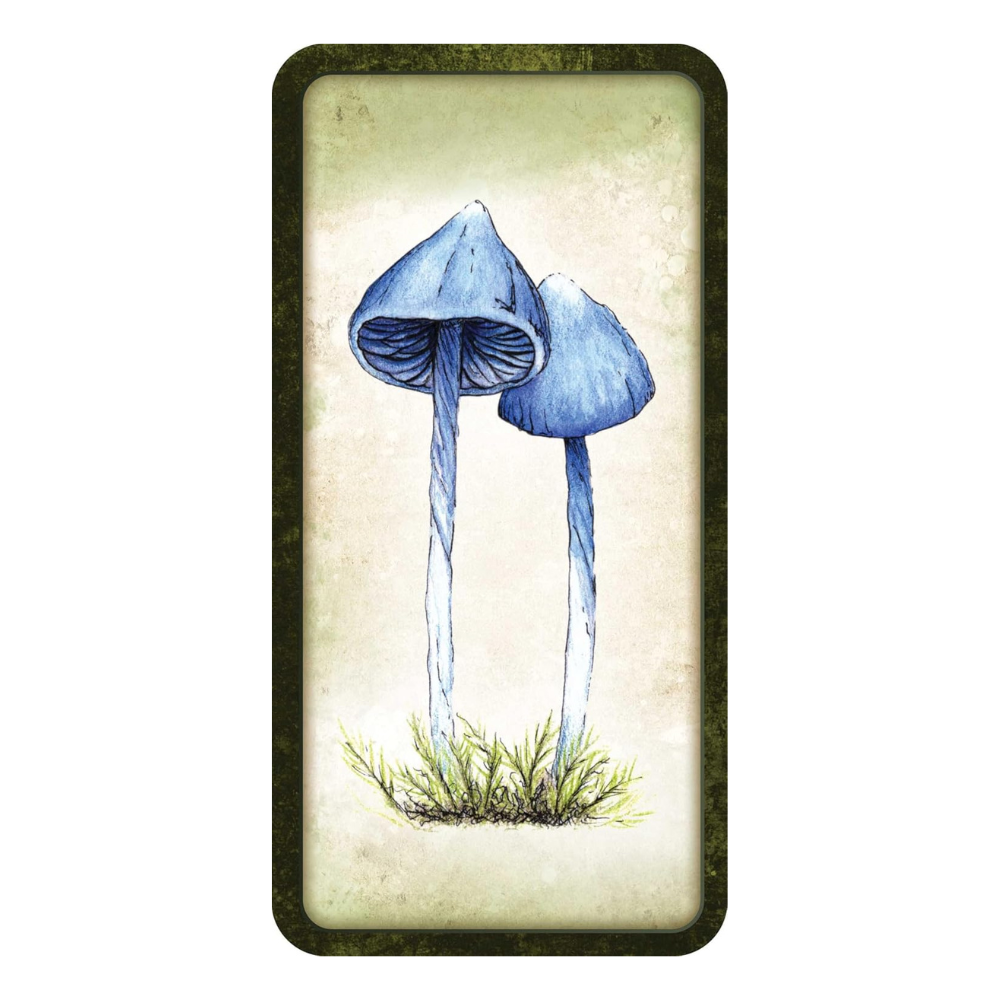 Hand-Drawn Fungi Oracle Deck for Spiritual Reflection