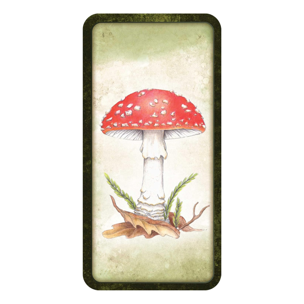 Find Spiritual Guidance with Mushroom Affirmations Oracle