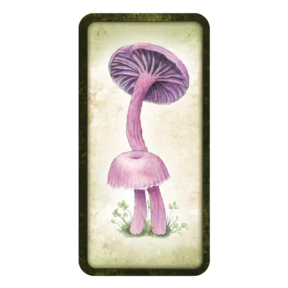 Mushroom Affirmations Cards for Intuition and Guidance