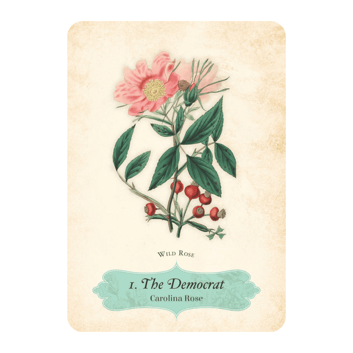 The Rose Oracle Deck by Cheralyn Darcey - 44 Cards
