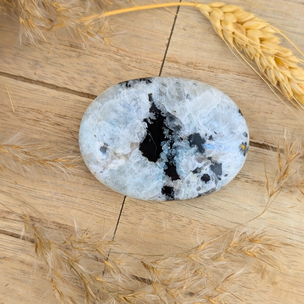 Moonstone Palm Stone displayed on wood with soft background