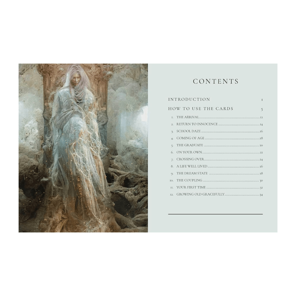 Oracle Deck for Daily Life Victories and Struggles