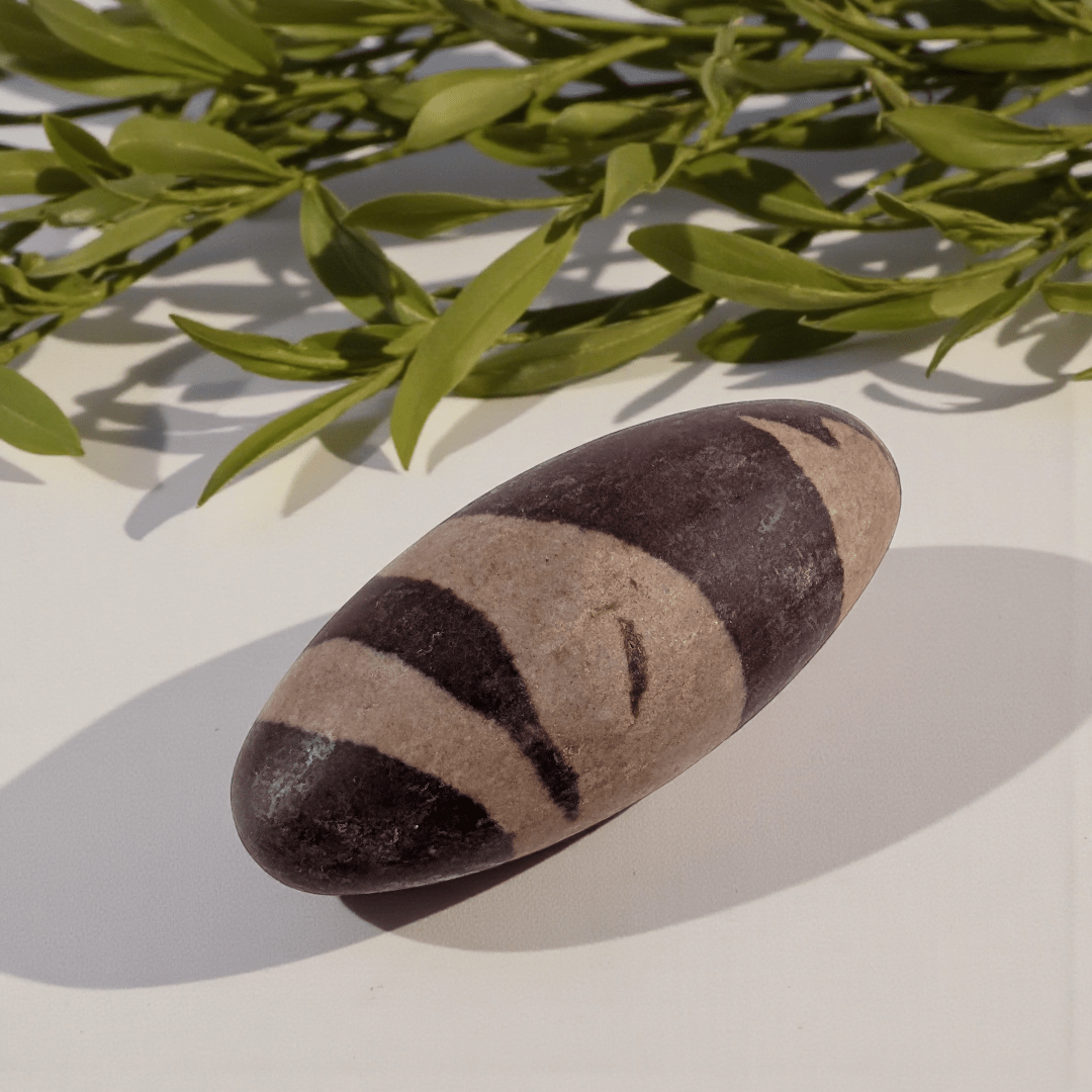 Shiva lingam stone for grounding and balance available at Canadian crystal store zen collection in Barrie 