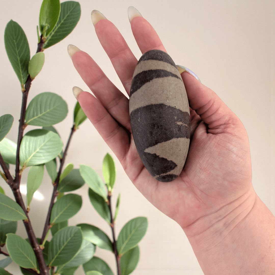 Shiva lingam stone for grounding and balance available at Canadian crystal store zen collection in Barrie 