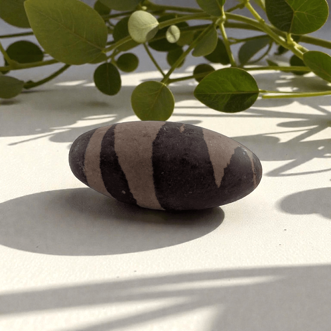 Shiva lingam stone for grounding and balance available at Canadian crystal store zen collection in Barrie 