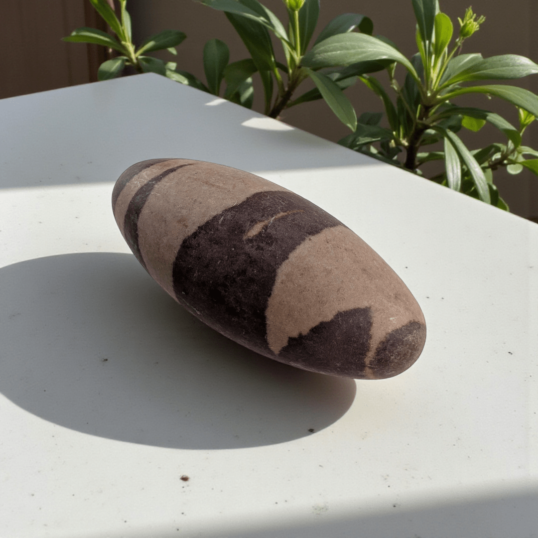 Shiva lingam stone for grounding and balance available at Canadian crystal store zen collection in Barrie 