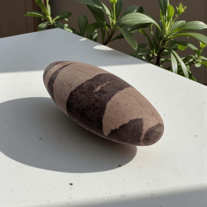 Shiva lingam stone for grounding and balance available at Canadian crystal store zen collection in Barrie 