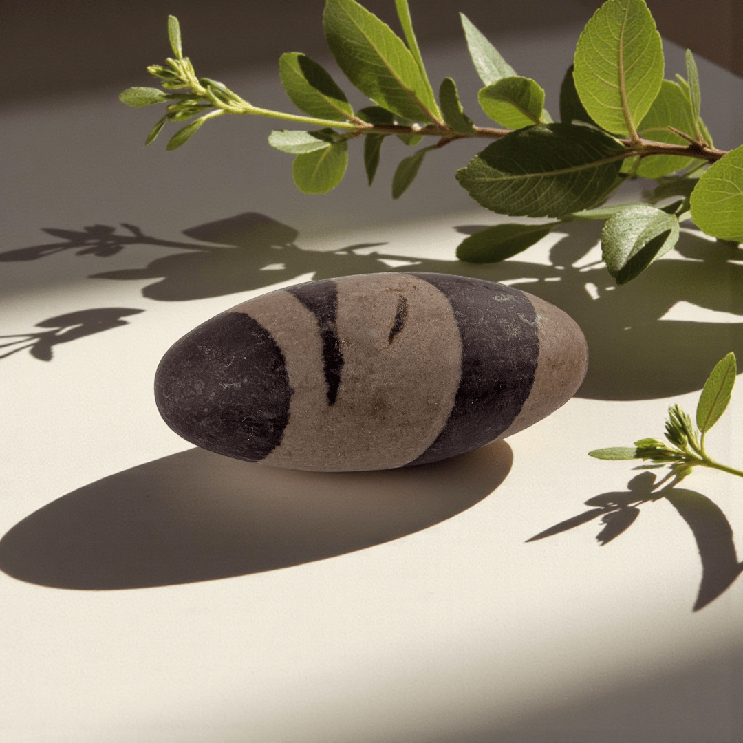 Shiva lingam stone for grounding and balance available at Canadian crystal store zen collection in Barrie 