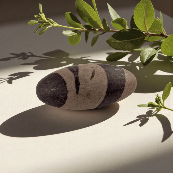 Shiva lingam stone for grounding and balance available at Canadian crystal store zen collection in Barrie 